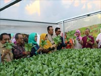 Agroteknologi Ftan Umj Prestasi Beraneka Foto 4